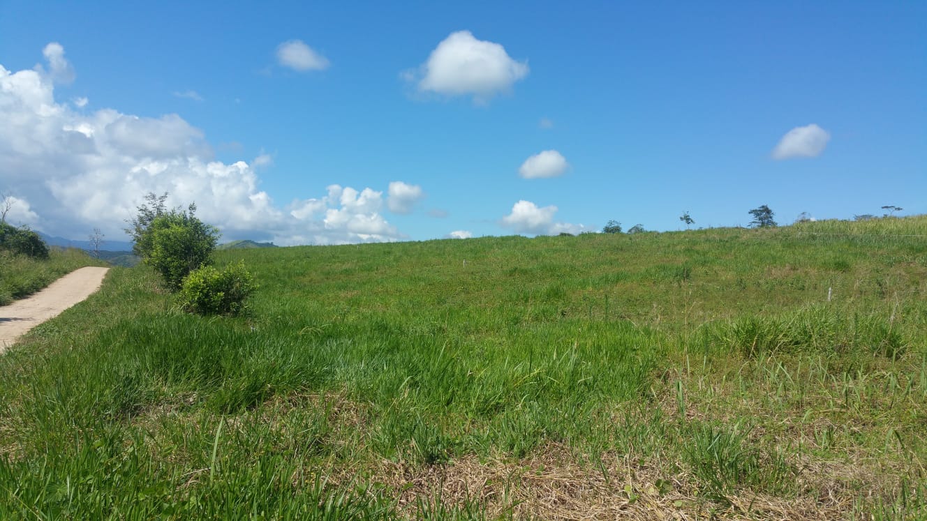 La Colina en la Pradera