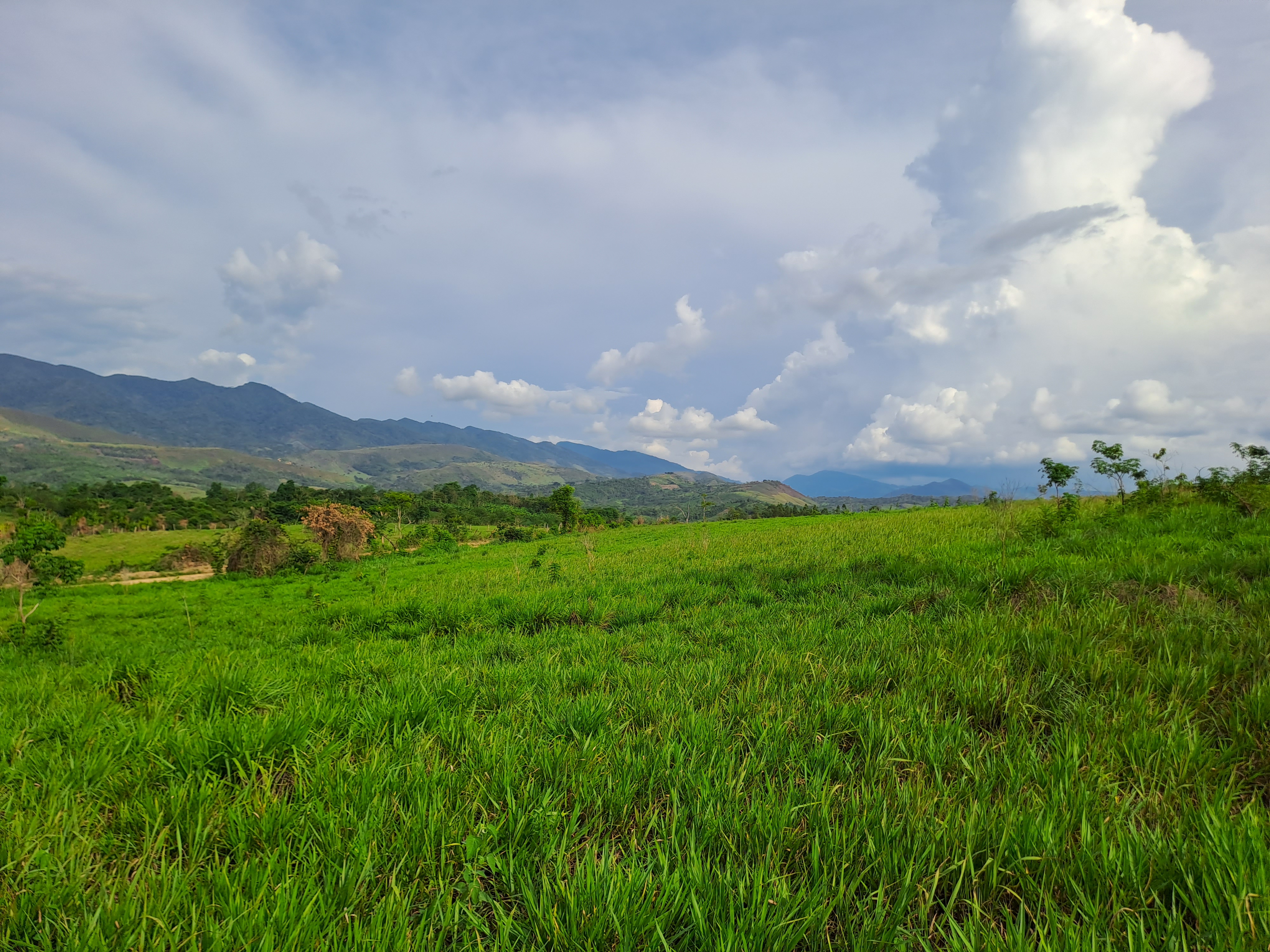 La Colina de la Pradera - Vista hacia derecha