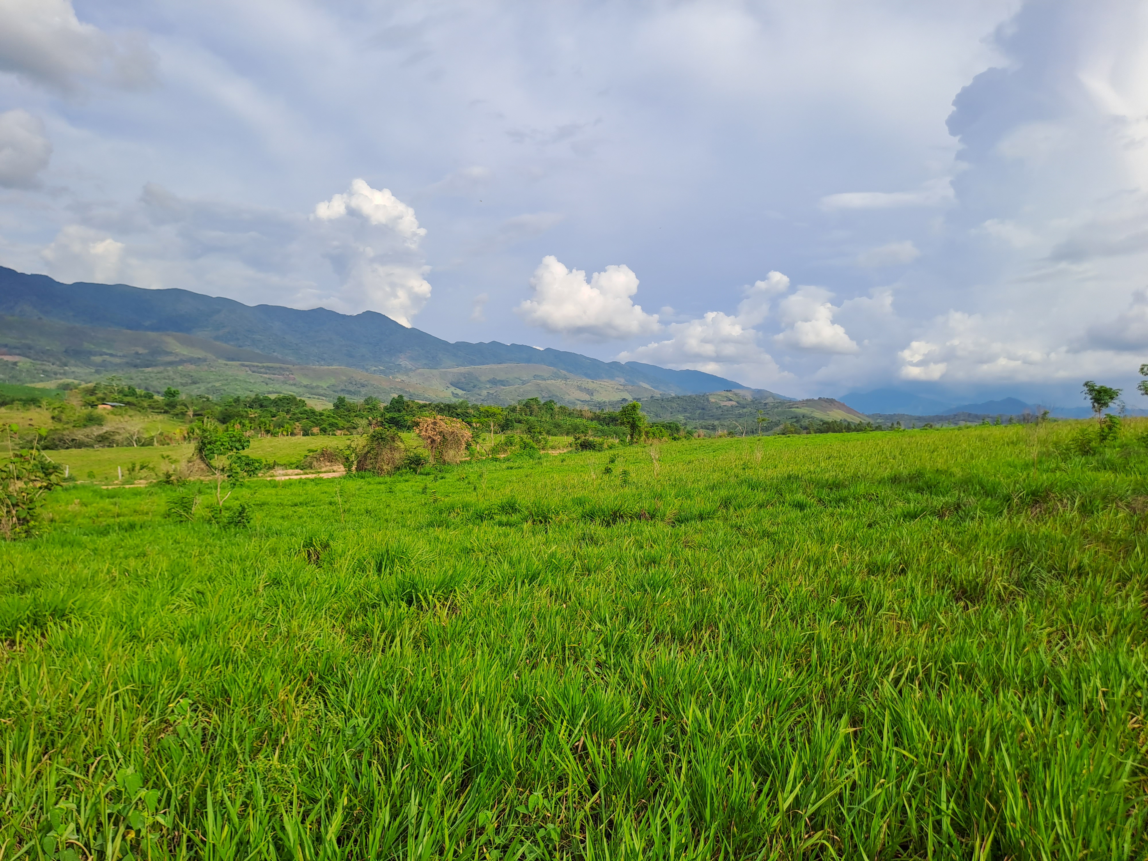 La Colina de la Pradera - Vista hacia derecha