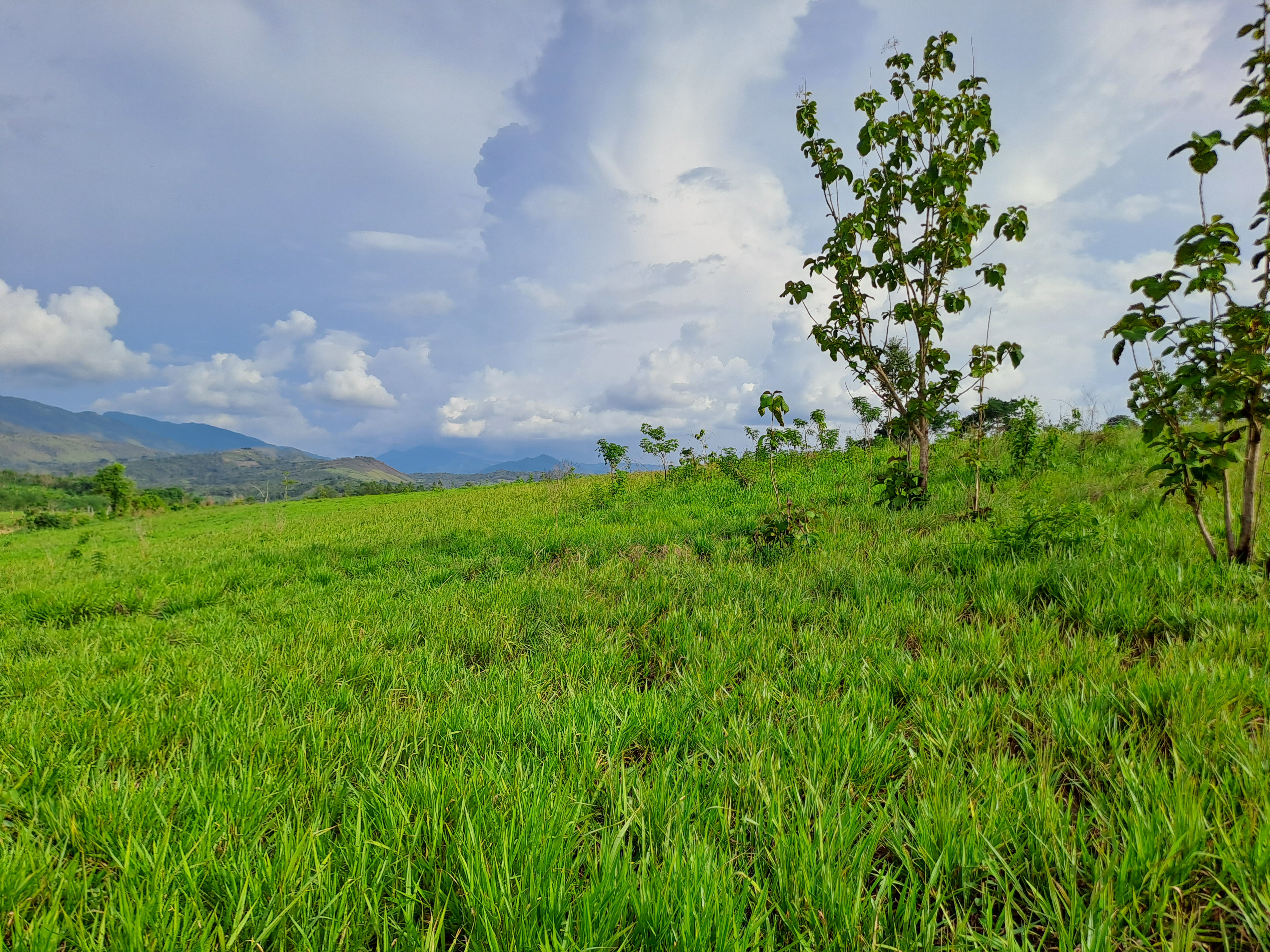 La Colina de la Pradera - Vista hacia derecha