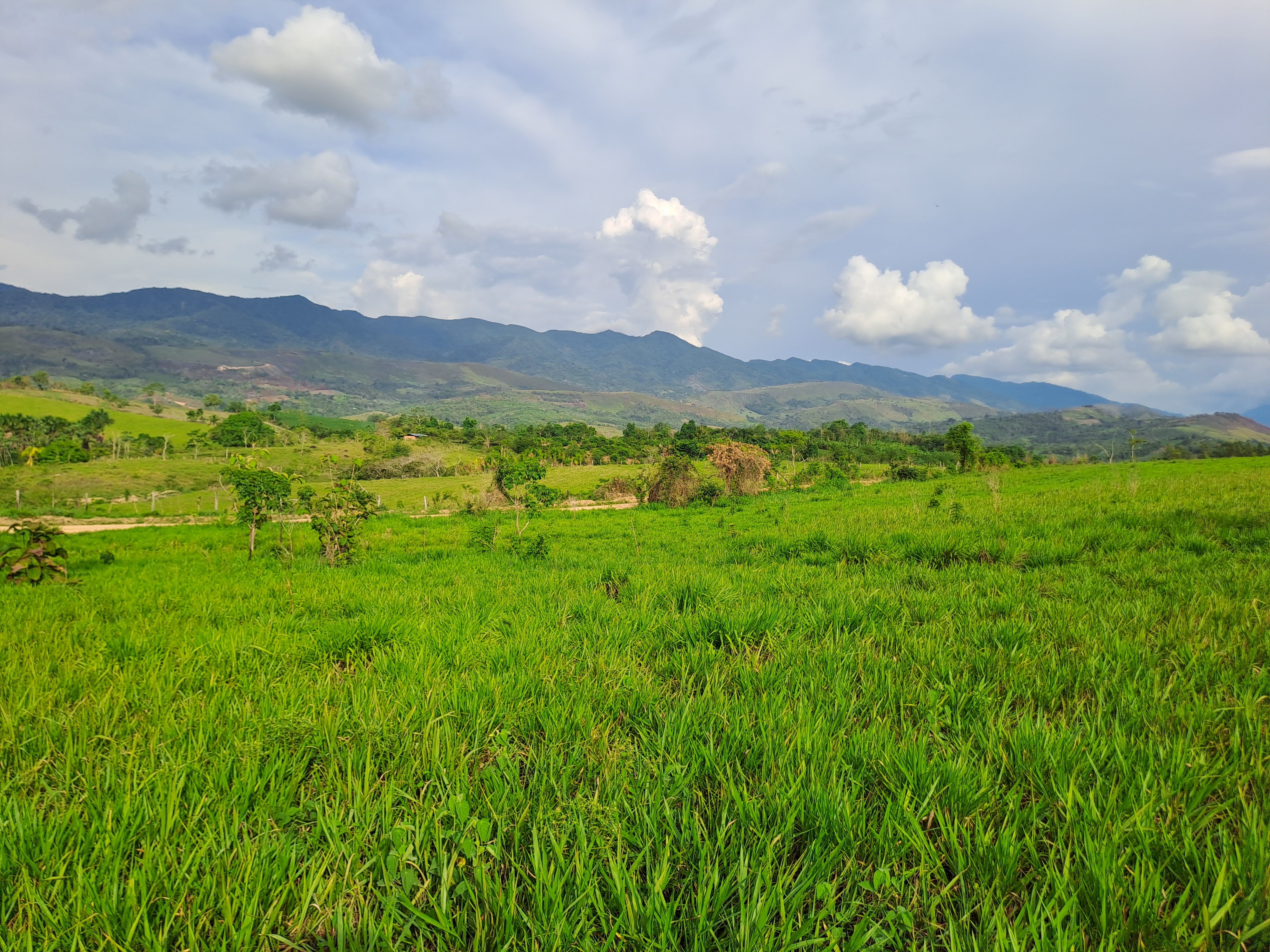 La Colina de la Pradera - Vista hacia abajo