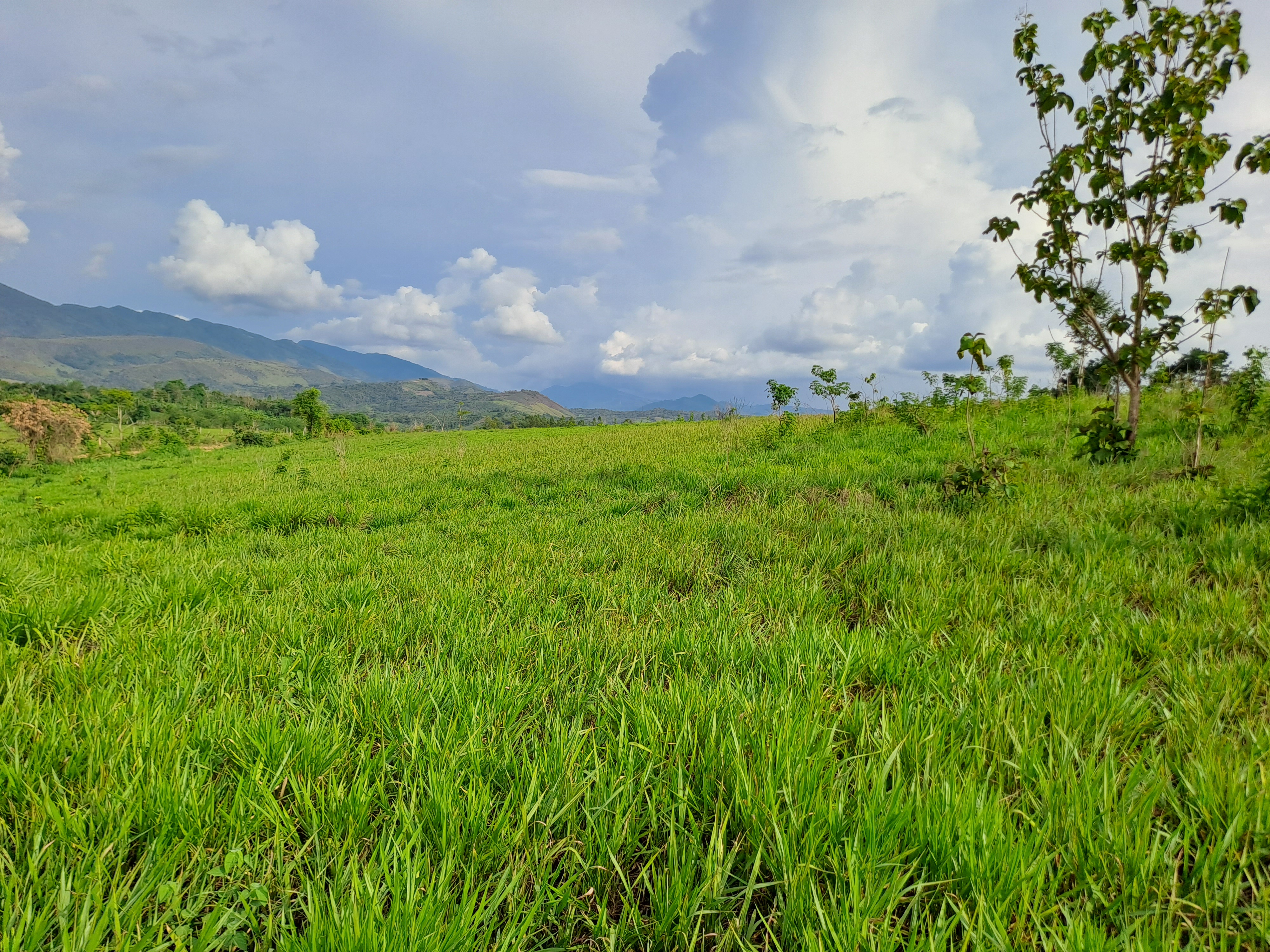 La Colina de la Pradera - Vista hacia derecha