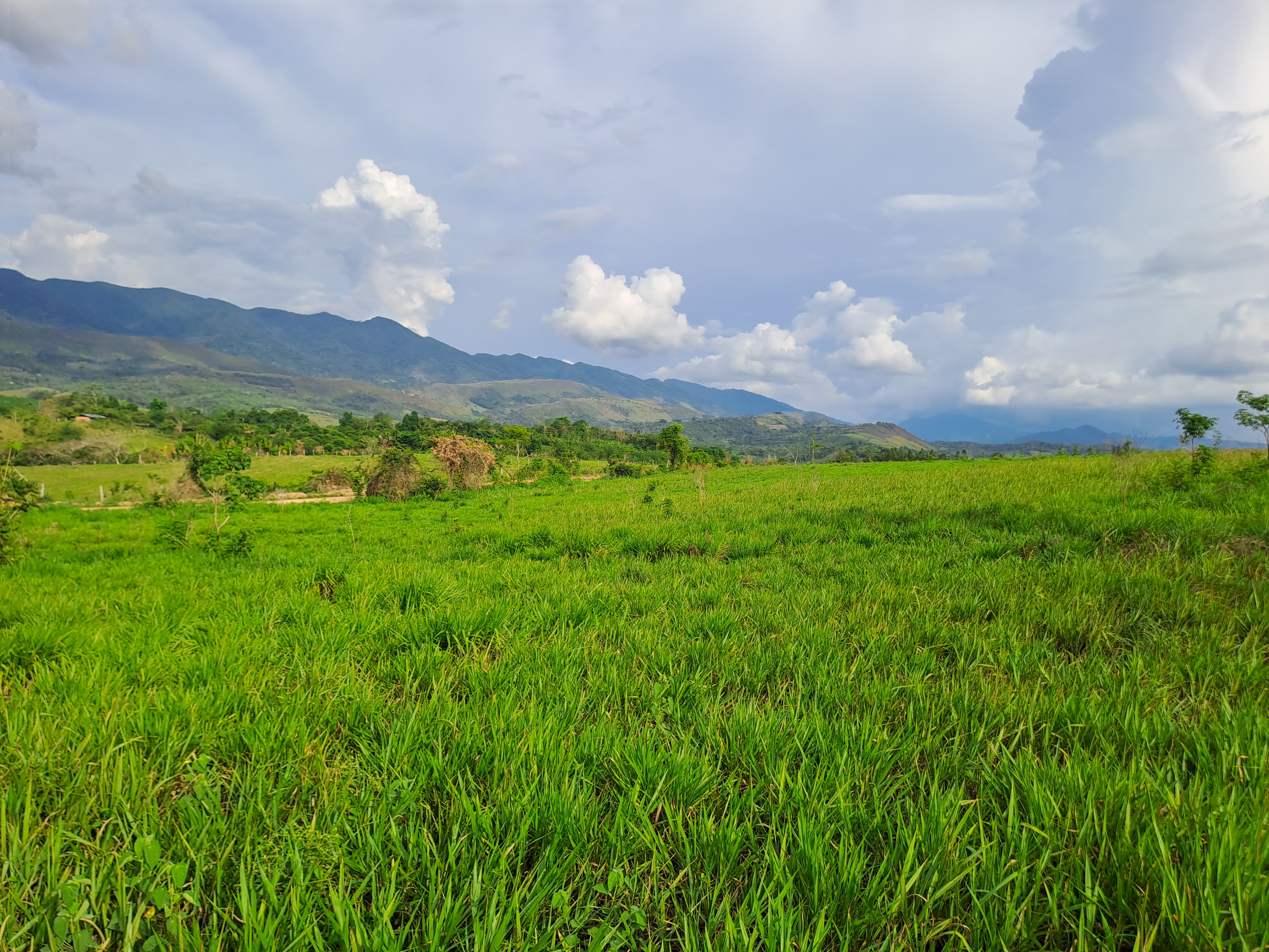 La Colina de la Pradera - Vista hacia derecha
