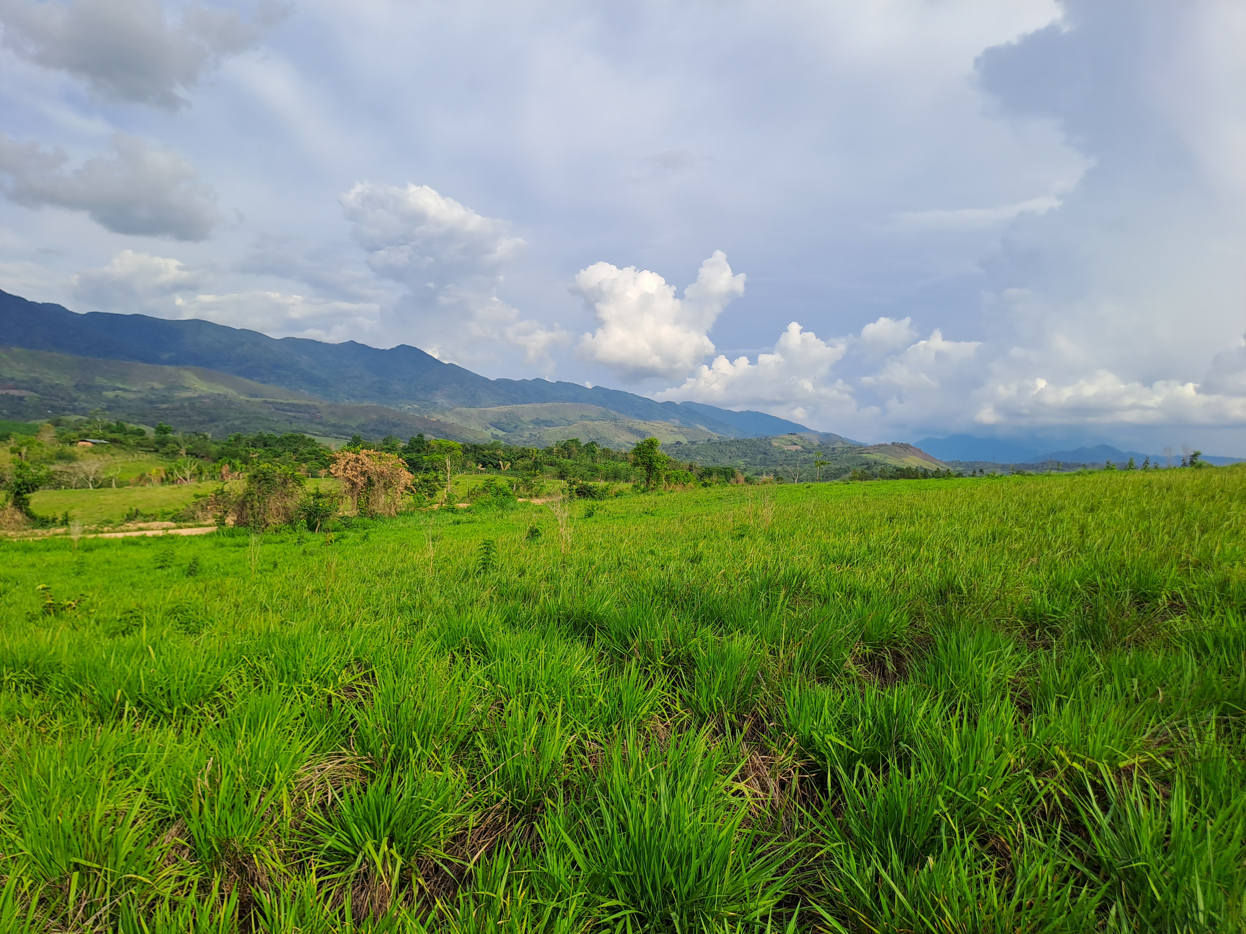 La Colina de la Pradera - Vista hacia derecha