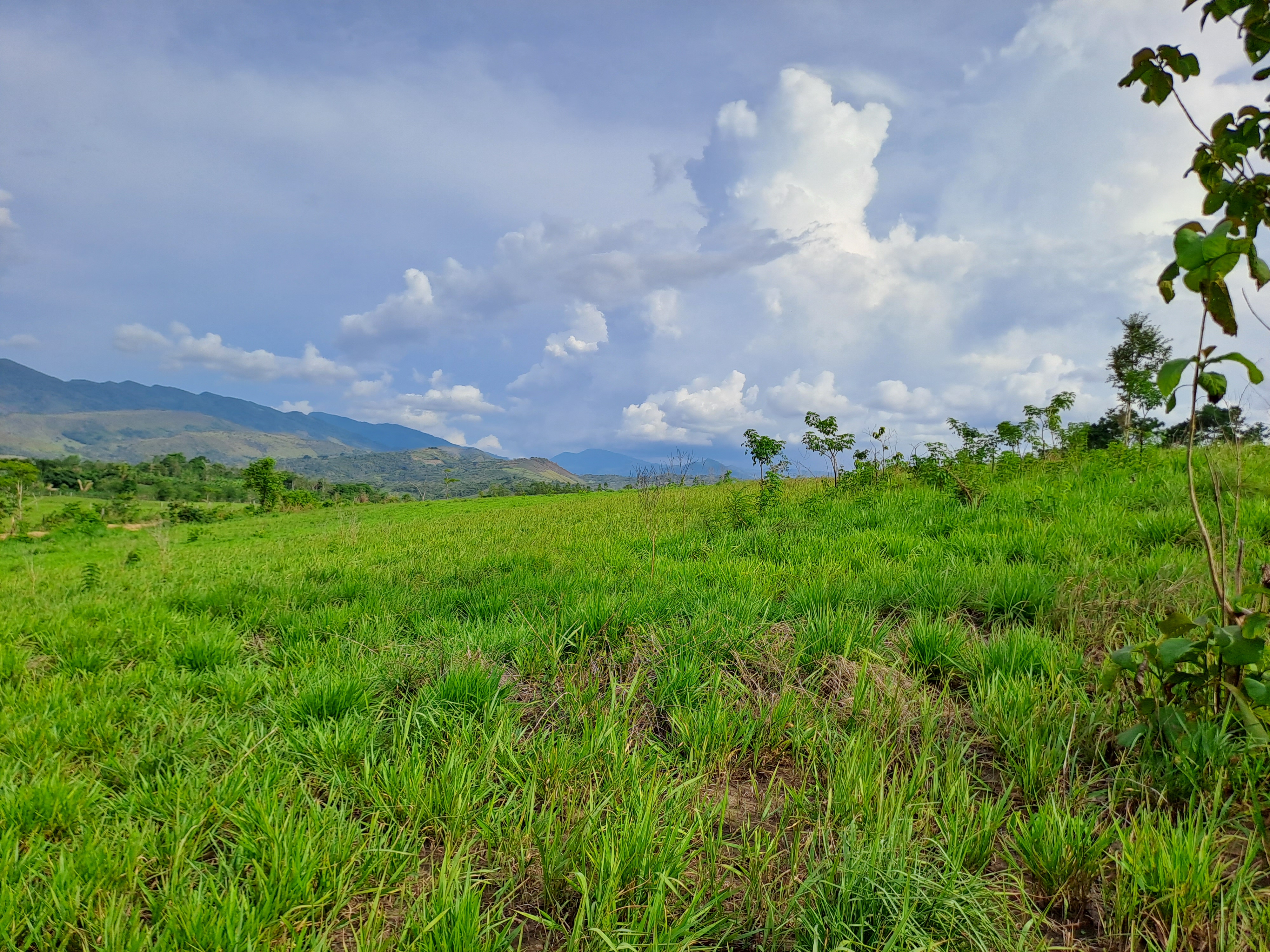 La Colina de la Pradera - Vista hacia derecha