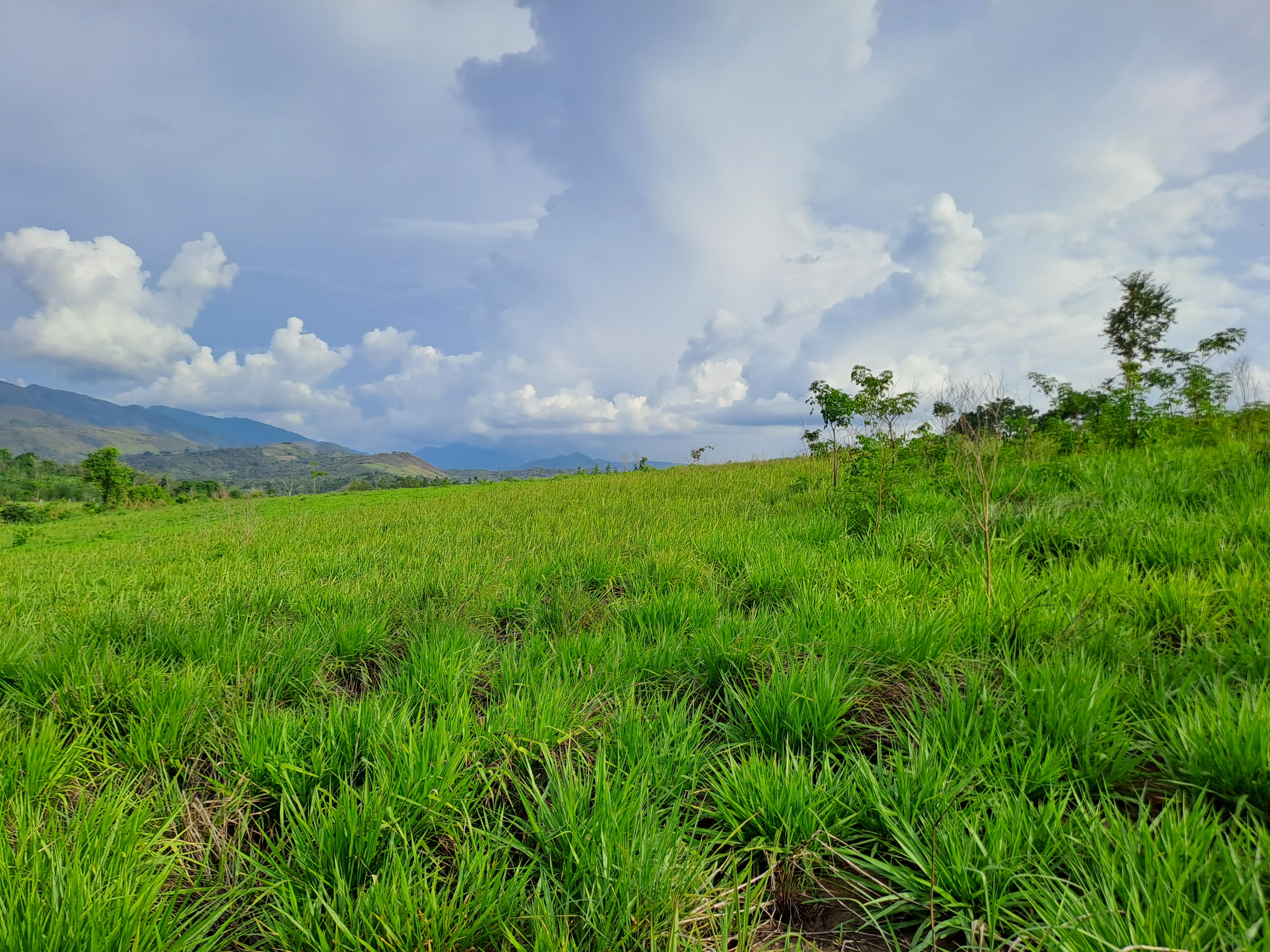La Colina de la Pradera - Vista hacia derecha