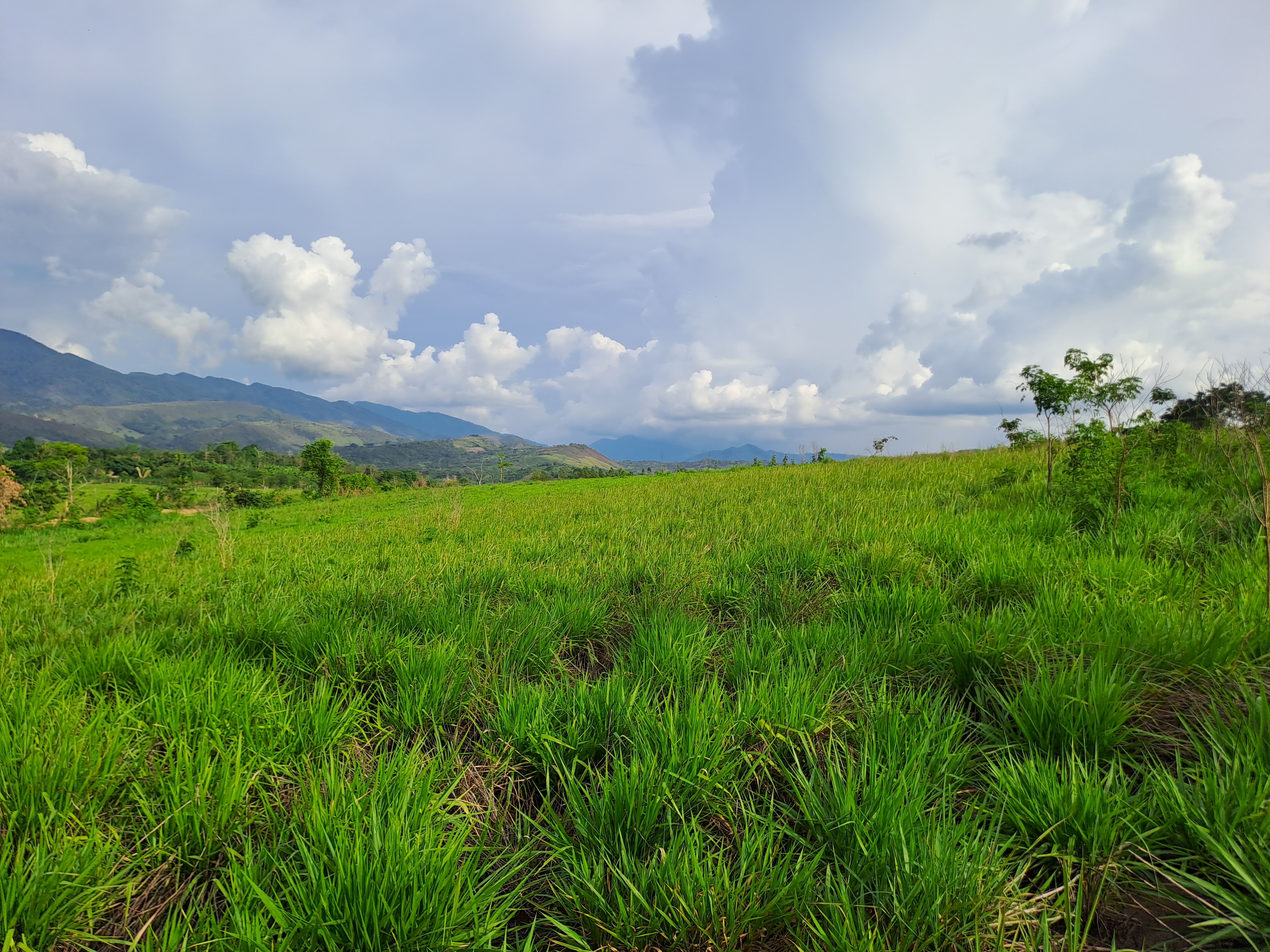 La Colina de la Pradera - Vista hacia derecha