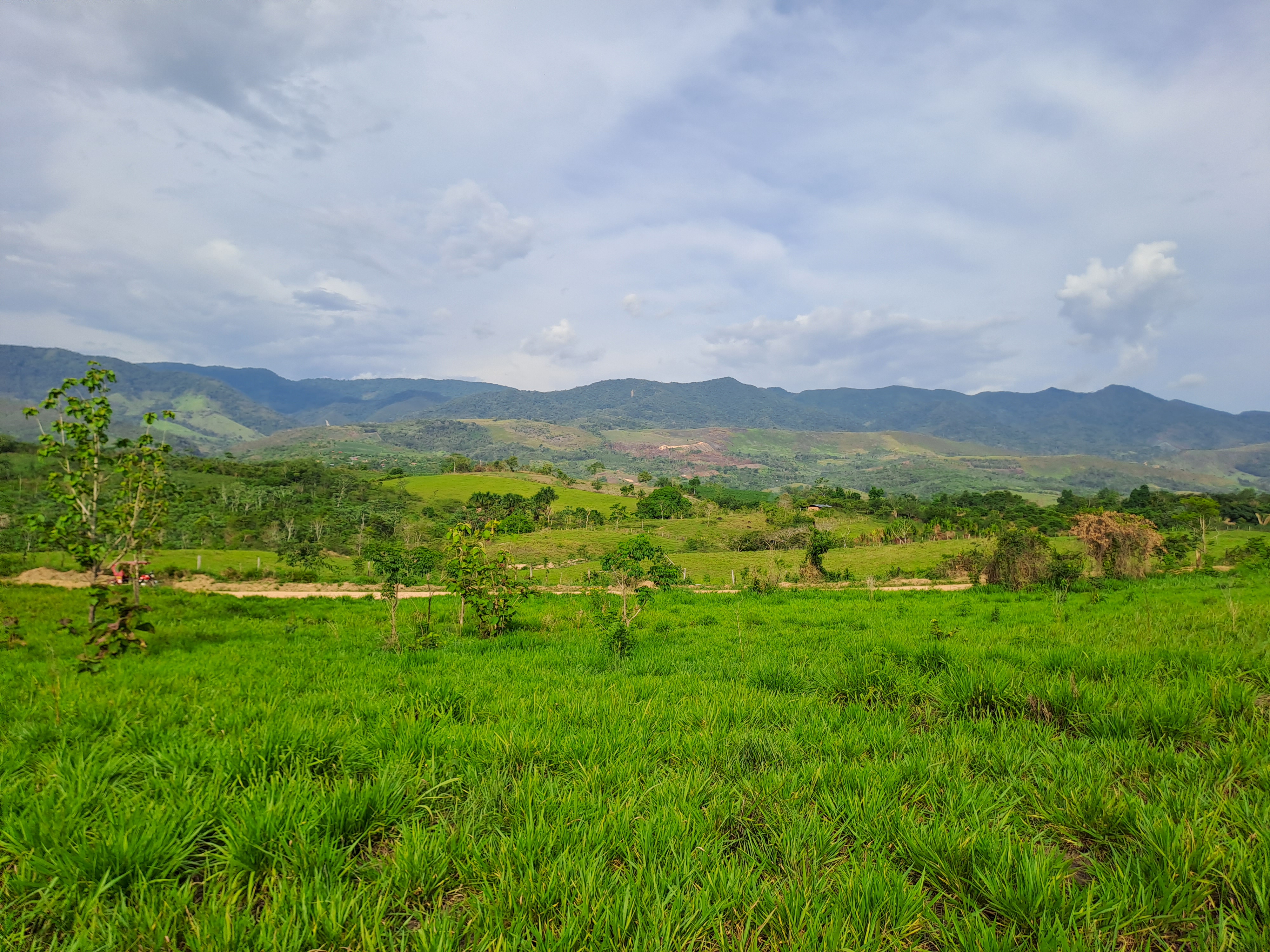 La Colina de la Pradera - Vista hacia abajo