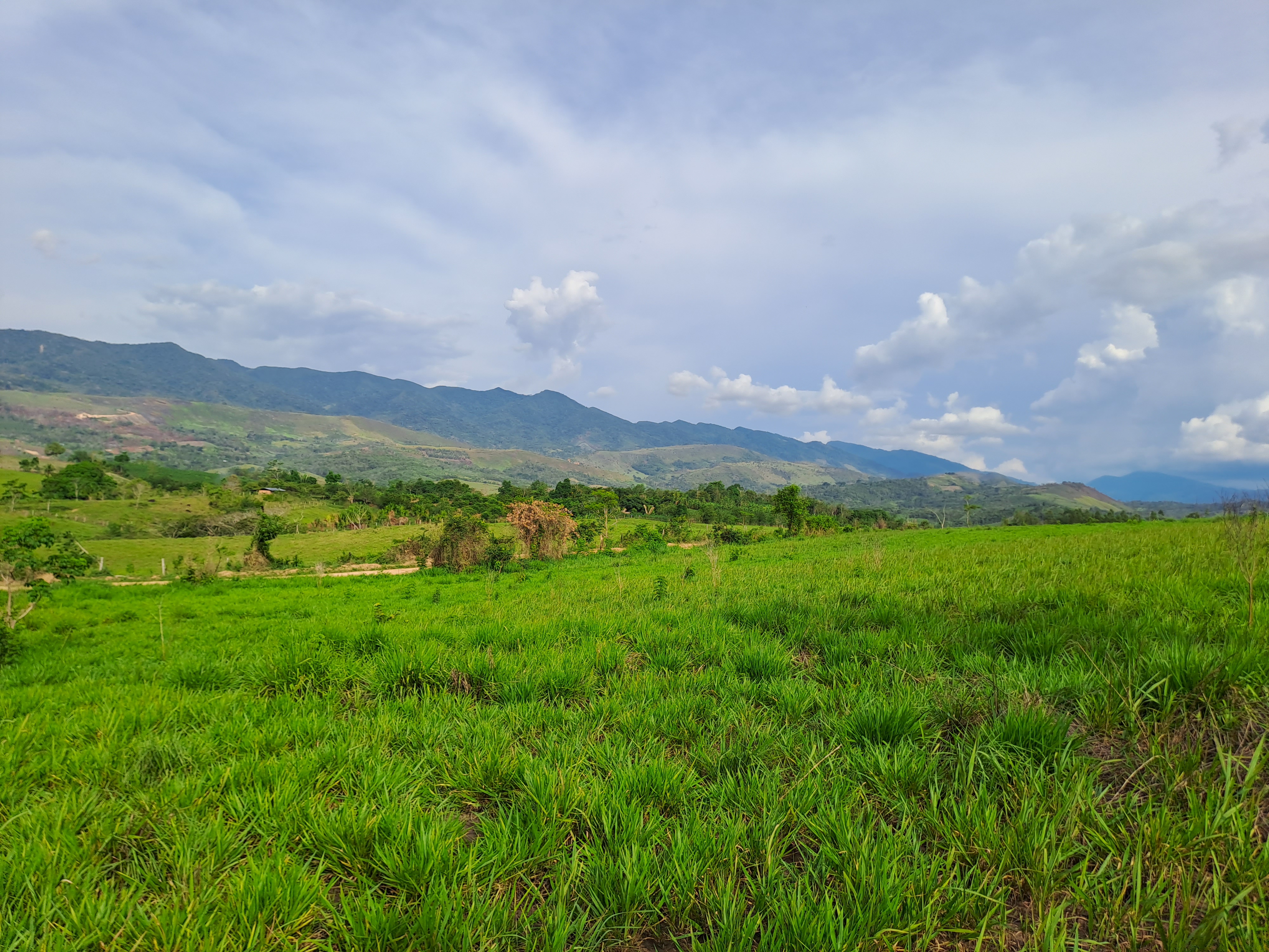 La Colina de la Pradera - Vista hacia derecha