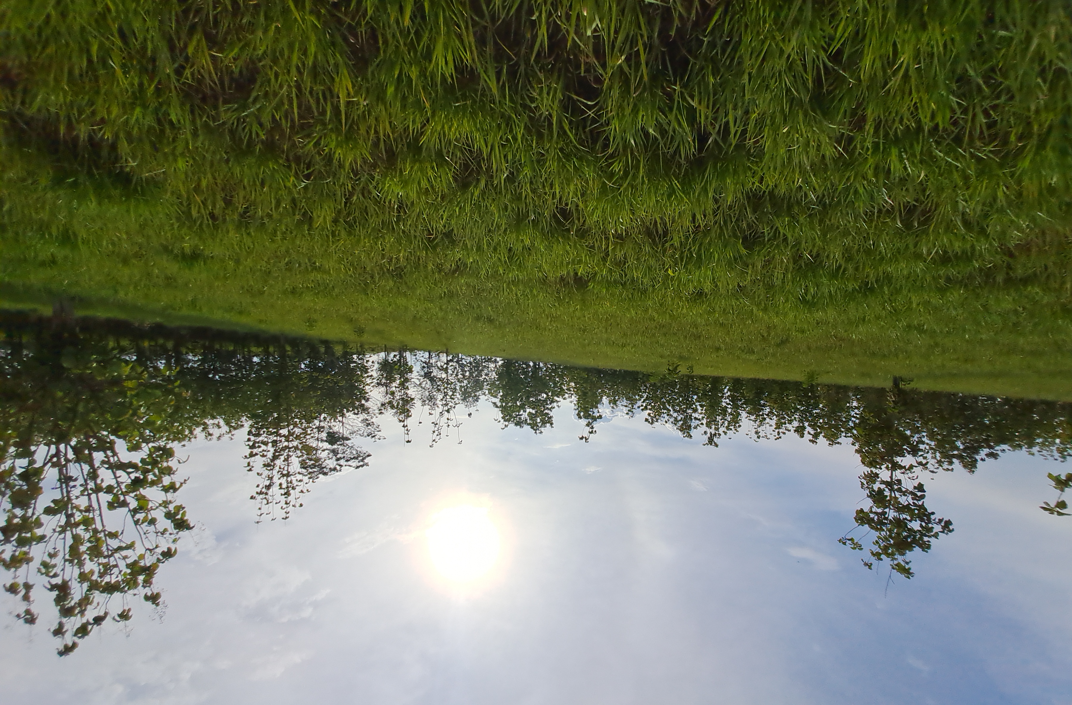 La Colina de la Pradera - Vista hacia arriba