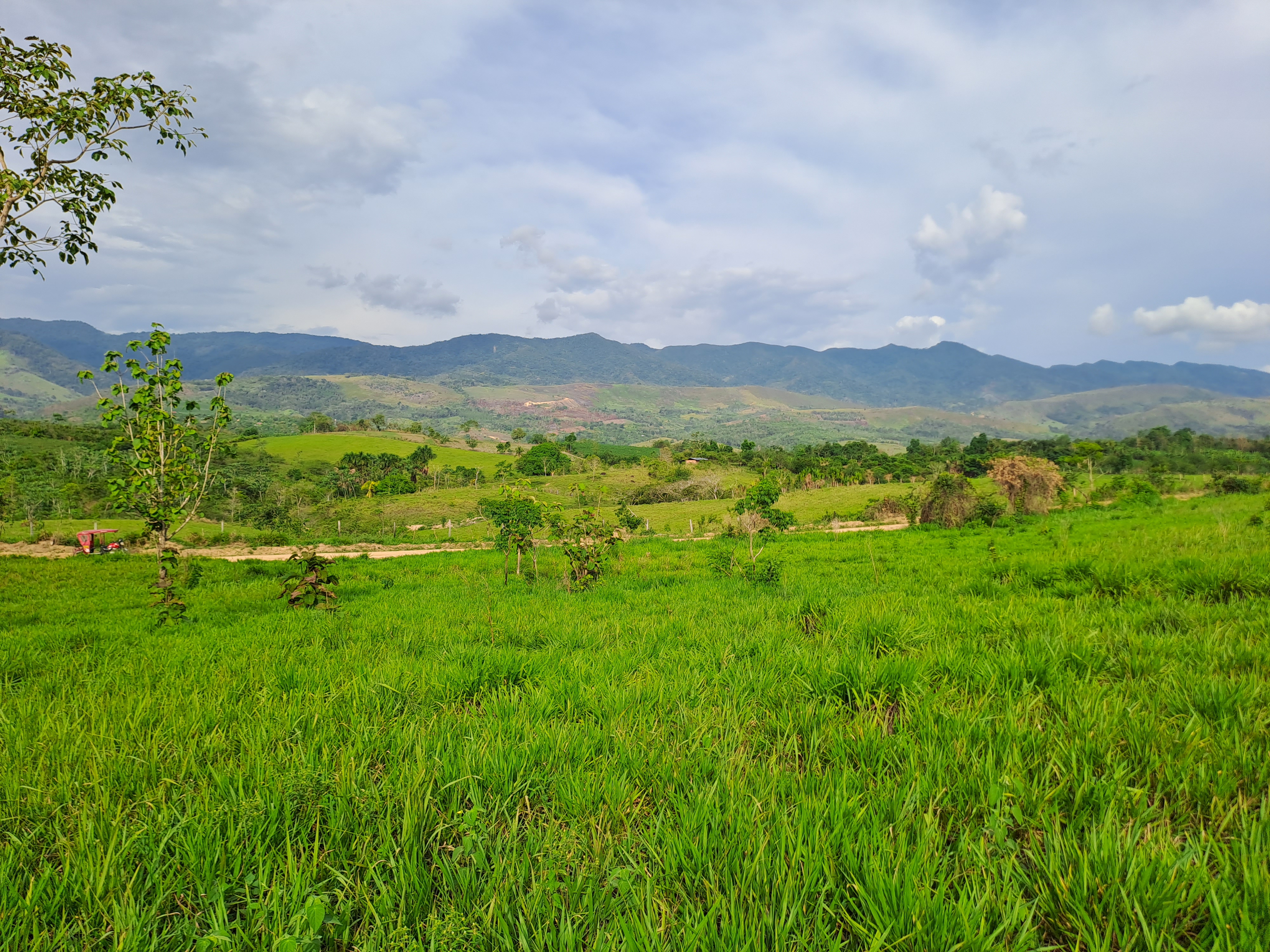 La Colina de la Pradera - Vista hacia abajo
